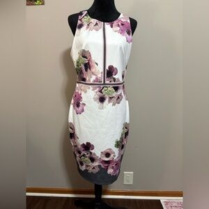 Ted Baker London Nanina Neapolitan Buckle Midi Dress